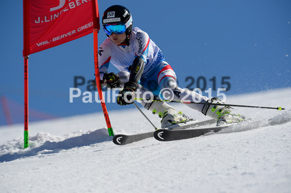 Int. Dt. Meisterschaft Riesenslalom Herren 2015