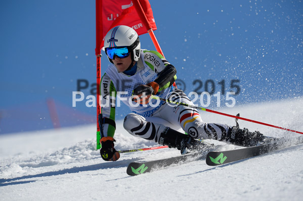 Int. Dt. Meisterschaft Riesenslalom Herren 2015