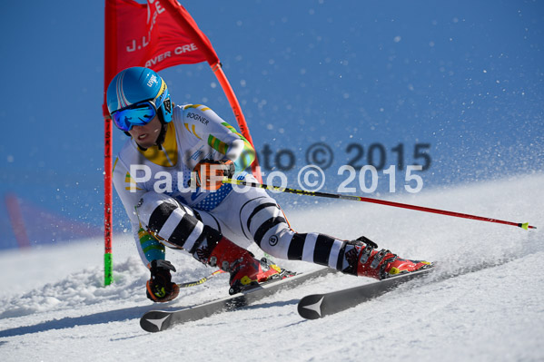 Int. Dt. Meisterschaft Riesenslalom Herren 2015