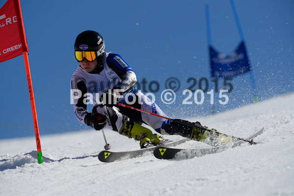 Int. Dt. Meisterschaft Riesenslalom Herren 2015