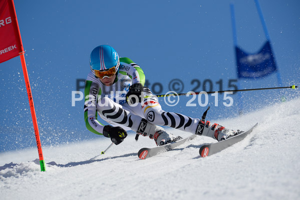 Int. Dt. Meisterschaft Riesenslalom Herren 2015