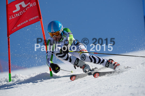 Int. Dt. Meisterschaft Riesenslalom Herren 2015