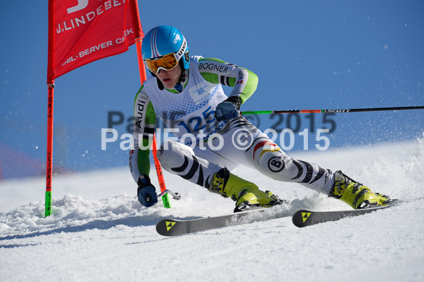 Int. Dt. Meisterschaft Riesenslalom Herren 2015