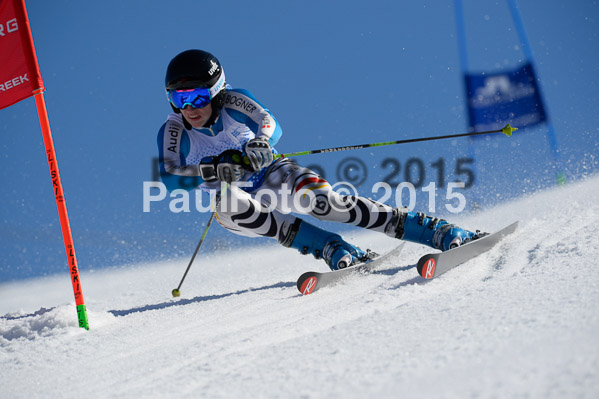 Int. Dt. Meisterschaft Riesenslalom Herren 2015