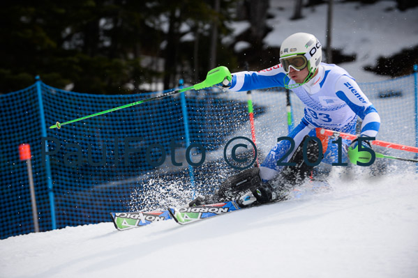 Int. Dt. Meisterschaft SL Herren 2015