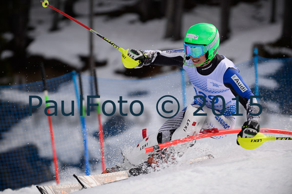 Int. Dt. Meisterschaft SL Herren 2015