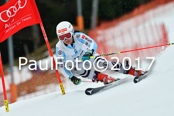 Int. Deutsche Meisterschaft RS Damen + Teambewerb