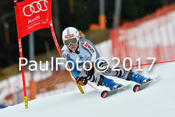 Int. Deutsche Meisterschaft RS Damen + Teambewerb