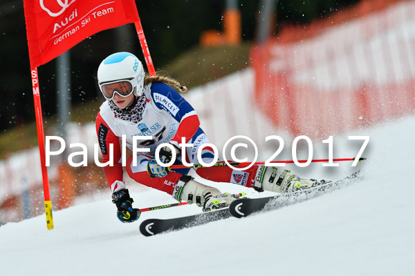 Int. Deutsche Meisterschaft RS Damen + Teambewerb