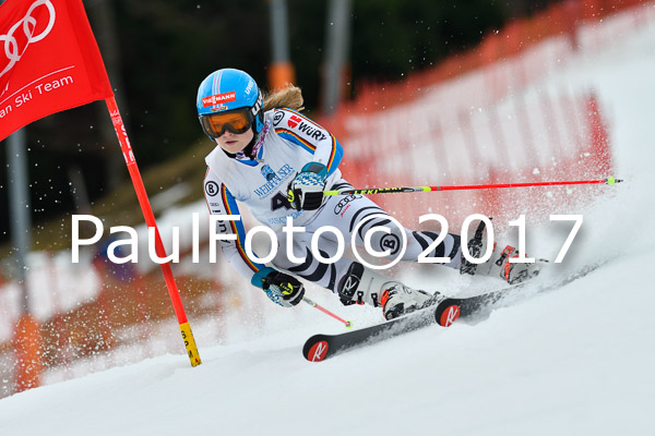 Int. Deutsche Meisterschaft RS Damen + Teambewerb