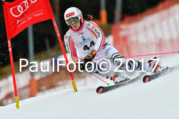 Int. Deutsche Meisterschaft RS Damen + Teambewerb