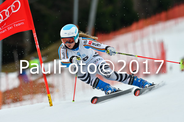 Int. Deutsche Meisterschaft RS Damen + Teambewerb