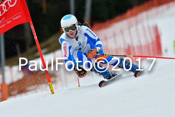 Int. Deutsche Meisterschaft RS Damen + Teambewerb