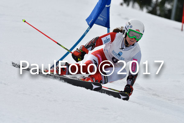 Int. Deutsche Meisterschaft RS Damen + Teambewerb