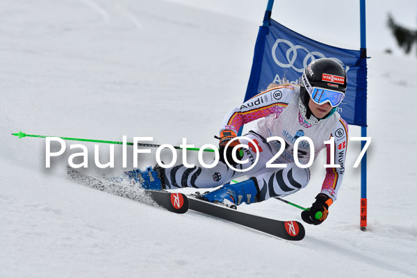 Int. Deutsche Meisterschaft RS Damen + Teambewerb