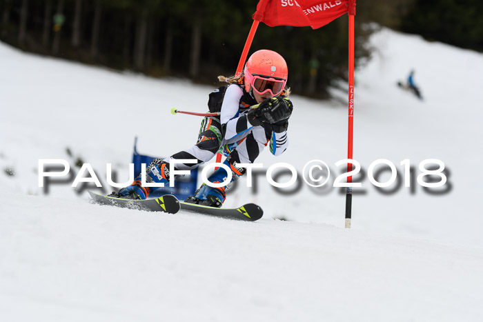 1. Ziener Cup 2018 Werdenfels