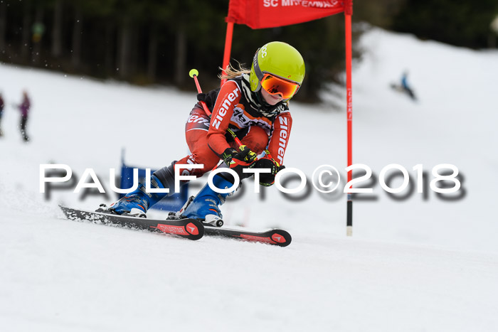 1. Ziener Cup 2018 Werdenfels