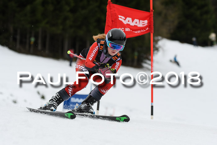 1. Ziener Cup 2018 Werdenfels