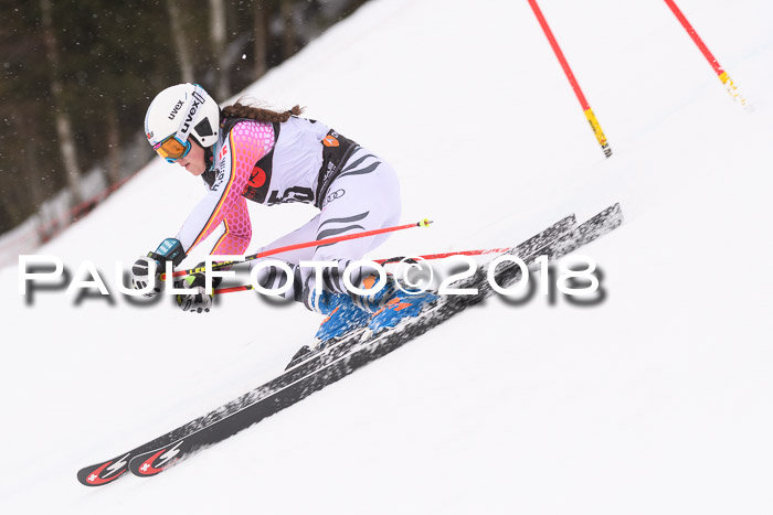 Int. FIS Rennen Damen, RS, Maria Alm 09.01.2018