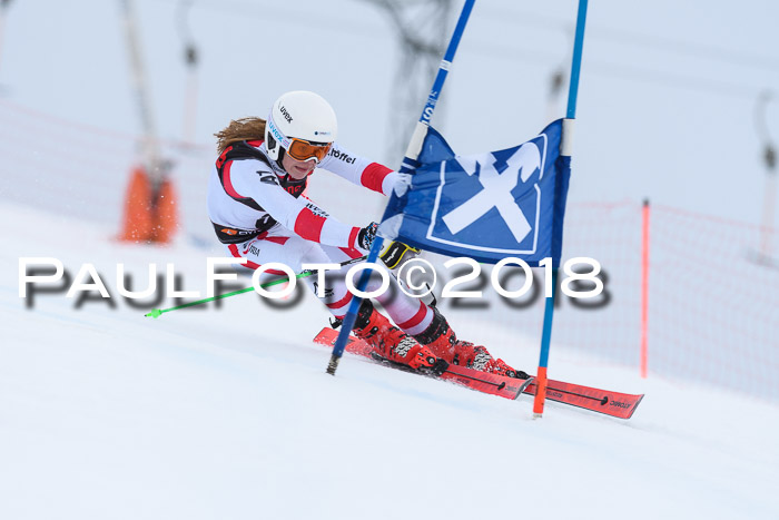 Int. FIS Rennen Damen, RS, Maria Alm 09.01.2018