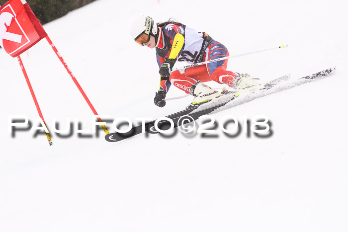 Int. FIS Rennen Damen, RS, Maria Alm 09.01.2018