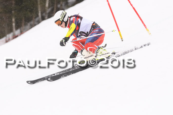 Int. FIS Rennen Damen, RS, Maria Alm 09.01.2018