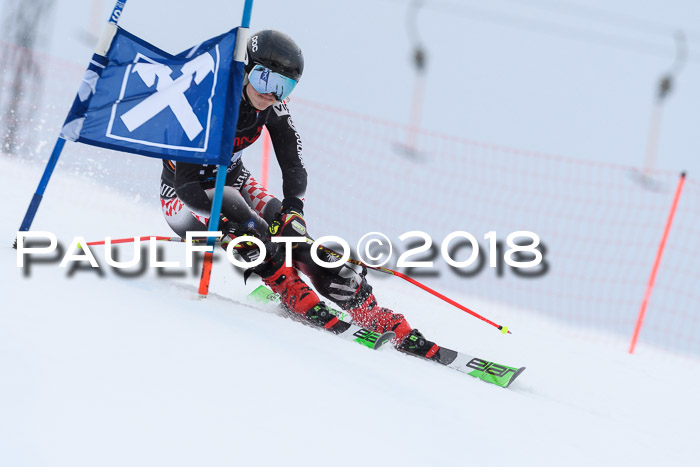 Int. FIS Rennen Damen, RS, Maria Alm 09.01.2018