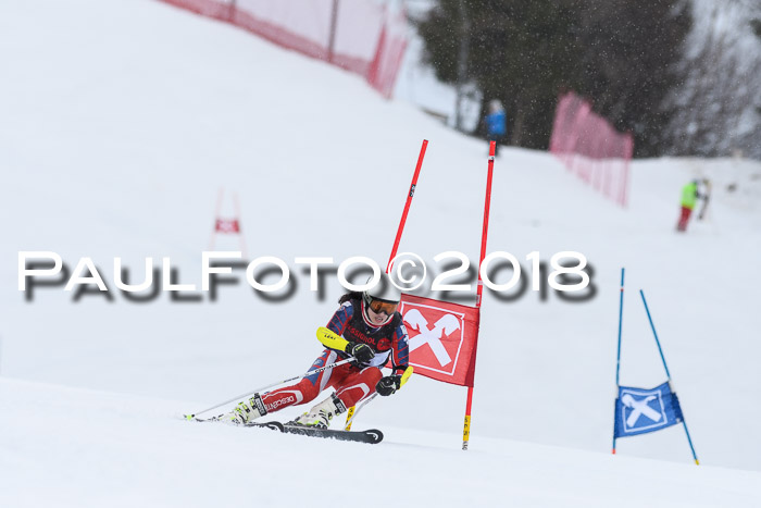 Int. FIS Rennen Damen, RS, Maria Alm 09.01.2018