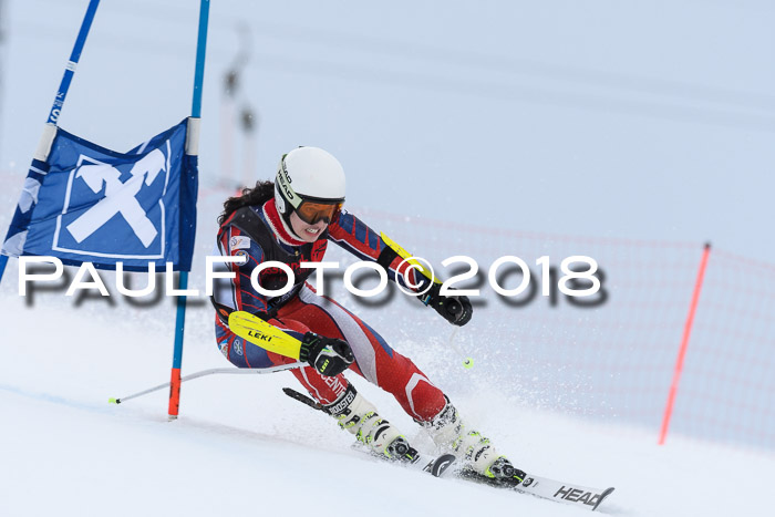 Int. FIS Rennen Damen, RS, Maria Alm 09.01.2018