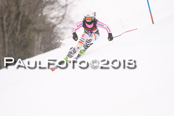 Int. FIS Rennen Damen, RS, Maria Alm 09.01.2018