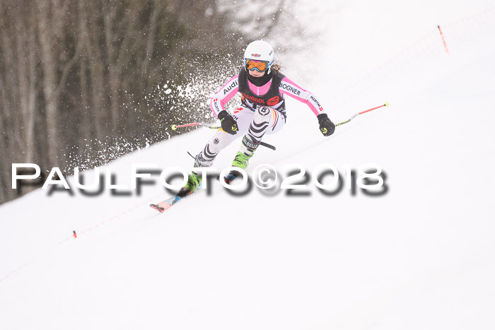 Int. FIS Rennen Damen, RS, Maria Alm 09.01.2018