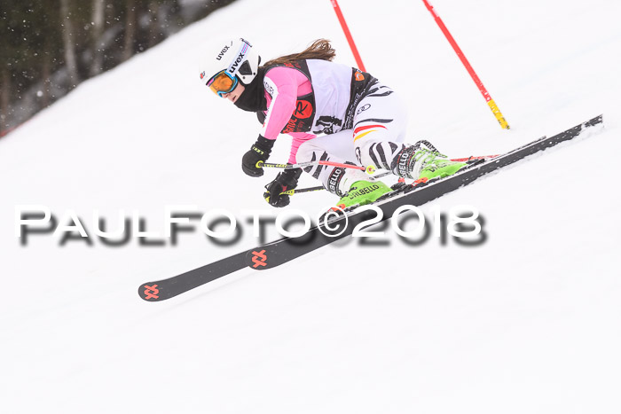 Int. FIS Rennen Damen, RS, Maria Alm 09.01.2018