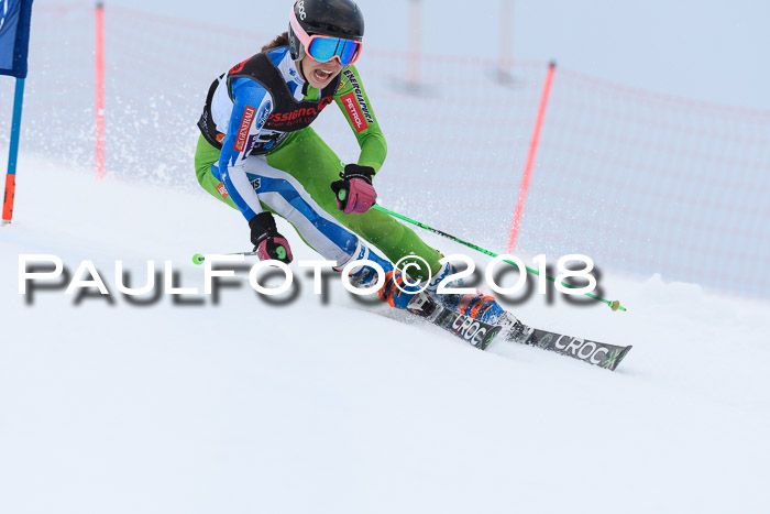 Int. FIS Rennen Damen, RS, Maria Alm 09.01.2018