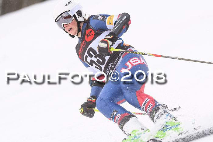 Int. FIS Rennen Damen, RS, Maria Alm 09.01.2018