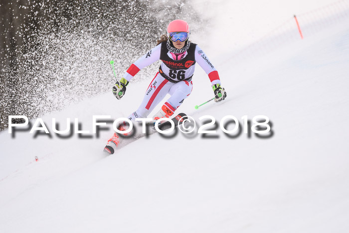 Int. FIS Rennen Damen, RS, Maria Alm 09.01.2018