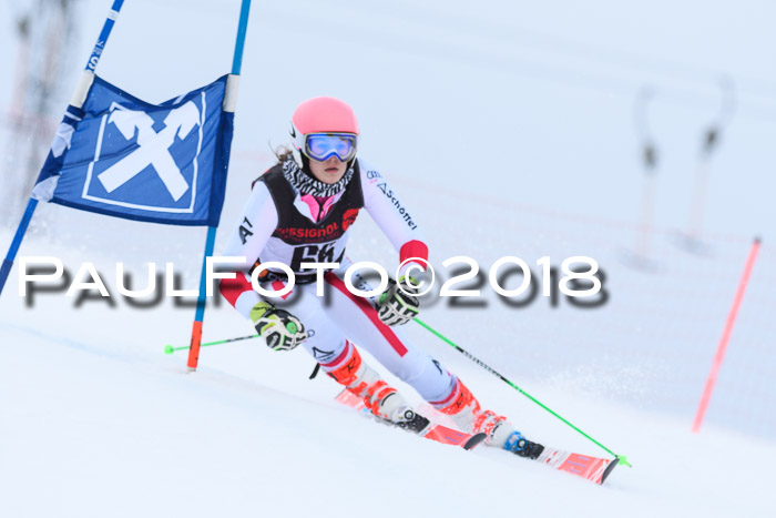 Int. FIS Rennen Damen, RS, Maria Alm 09.01.2018