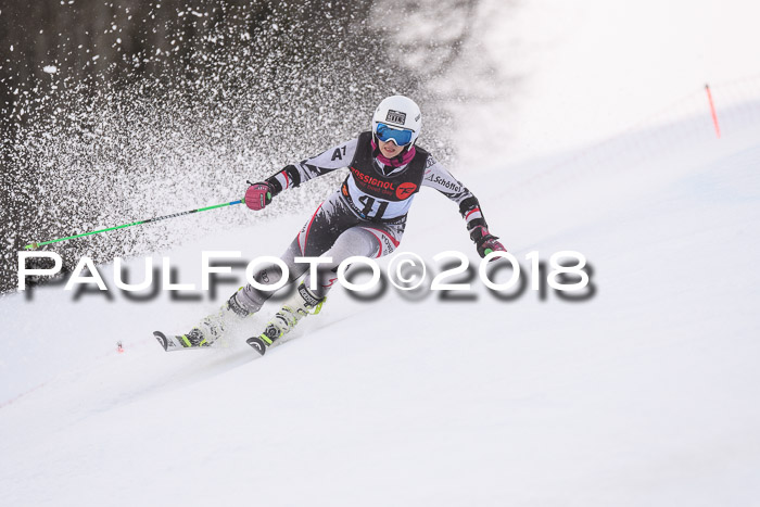 Int. FIS Rennen Damen, RS, Maria Alm 09.01.2018