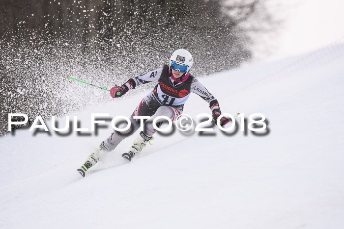 Int. FIS Rennen Damen, RS, Maria Alm 09.01.2018