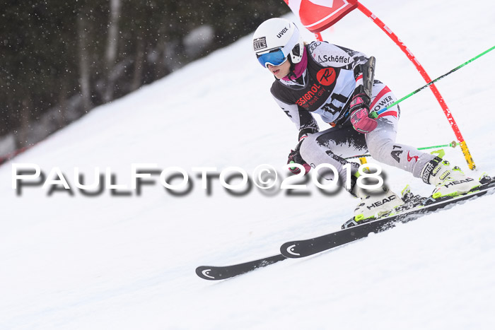 Int. FIS Rennen Damen, RS, Maria Alm 09.01.2018