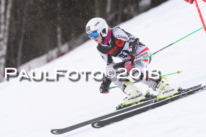 Int. FIS Rennen Damen, RS, Maria Alm 09.01.2018