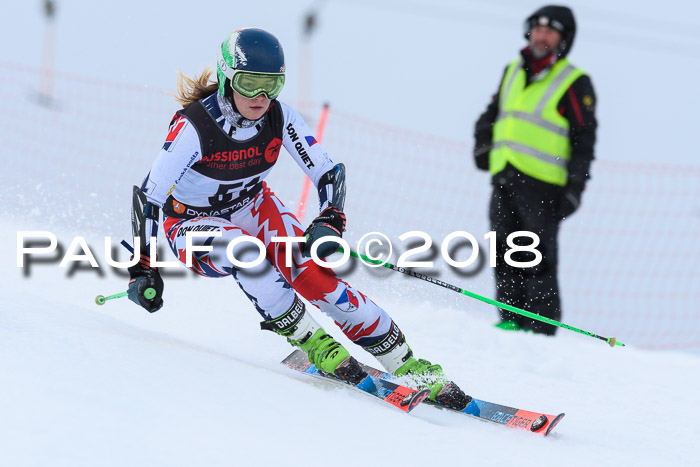 Int. FIS Rennen Damen, RS, Maria Alm 09.01.2018