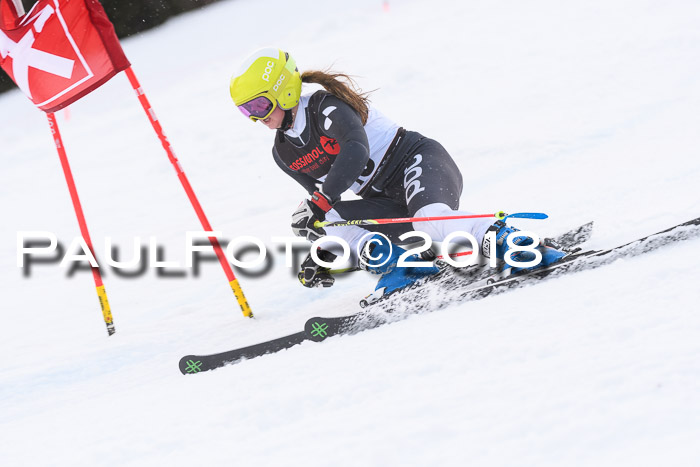 Int. FIS Rennen Damen, RS, Maria Alm 09.01.2018