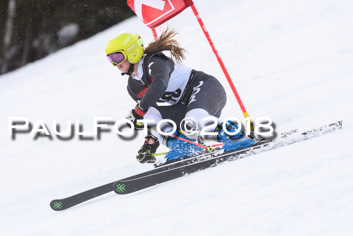 Int. FIS Rennen Damen, RS, Maria Alm 09.01.2018