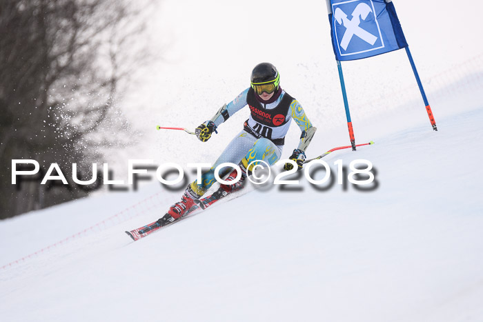 Int. FIS Rennen Damen, RS, Maria Alm 09.01.2018