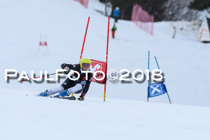 Int. FIS Rennen Damen, RS, Maria Alm 09.01.2018