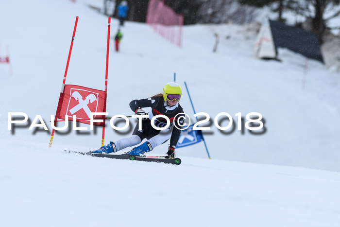 Int. FIS Rennen Damen, RS, Maria Alm 09.01.2018