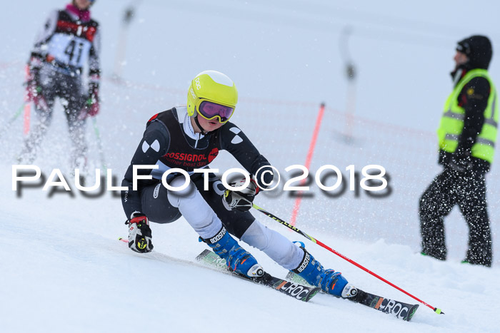 Int. FIS Rennen Damen, RS, Maria Alm 09.01.2018