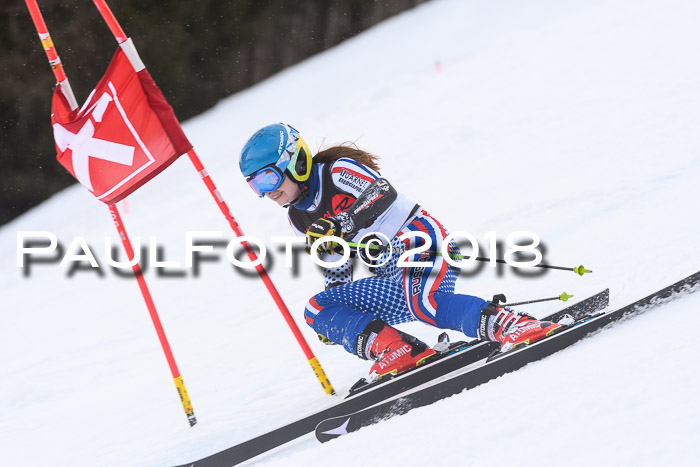 Int. FIS Rennen Damen, RS, Maria Alm 09.01.2018