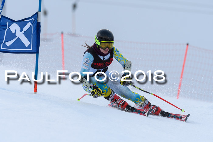 Int. FIS Rennen Damen, RS, Maria Alm 09.01.2018