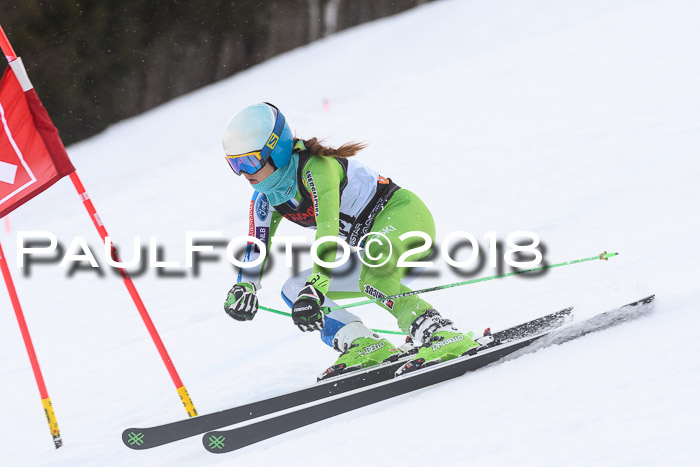 Int. FIS Rennen Damen, RS, Maria Alm 09.01.2018